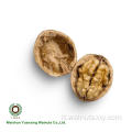 kernel di noci di colore chiaro metà lh